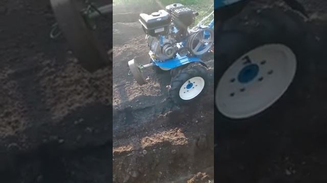 эксплуатация подростающего поколения с помощью мотоблока НЕВА смотреть онлайн