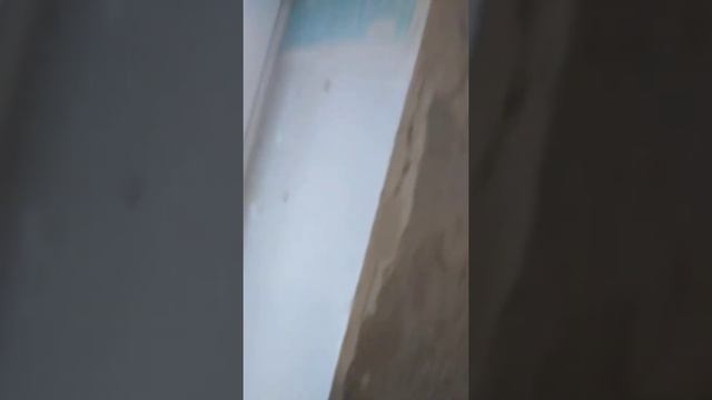 штукатурка Волма смотреть онлайн