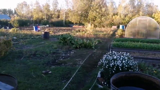 ВЛОГ/ШЛИ ШЛИ И В СВЕТОФОР ЗАШЛИ/СПЛОШНЫЕ ПОКУПКИ+ТЕСТ/ЧАСТЬ2 смотреть онлайн
