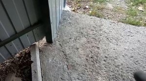 Бетон и клей ПВА для мастерской, гаража, да и вообще