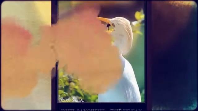 Картинки Демотиваторы Приколы 50 смотреть онлайн