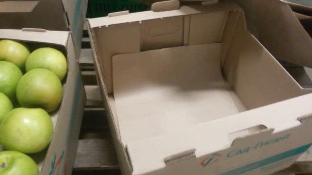 Итальянское яблоко Гренни Смит выращенное в России до отправки в Новосибирск (декабрь 2016)