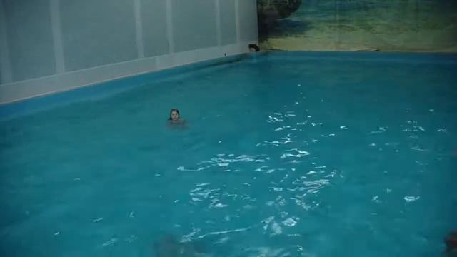 Плавание с дельфинами часть 3 смотреть онлайн