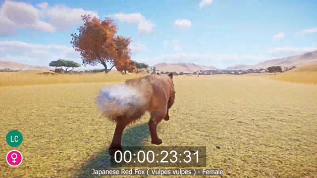 Japanese Animals Category Speed Races in Planet Zoo includes Japanese Serow, bear etc смотреть онлайн