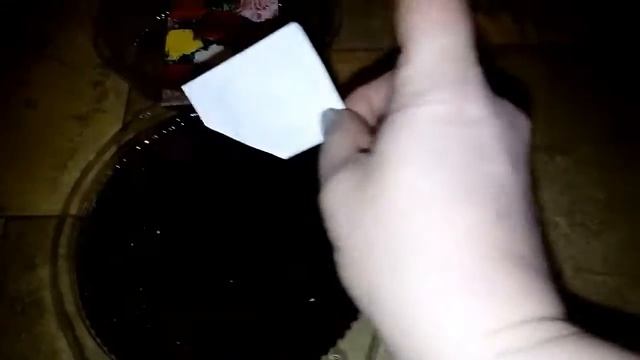 Садим цветы гвоздика садовая Блеск Лета смотреть онлайн