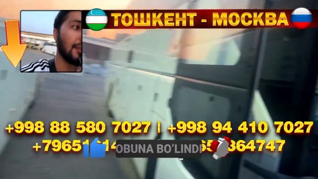 Москва Ташкент автобус Москва Ташкент автобус прямой рейс Москва Худжанд автобус Россия Узбекистан смотреть онлайн