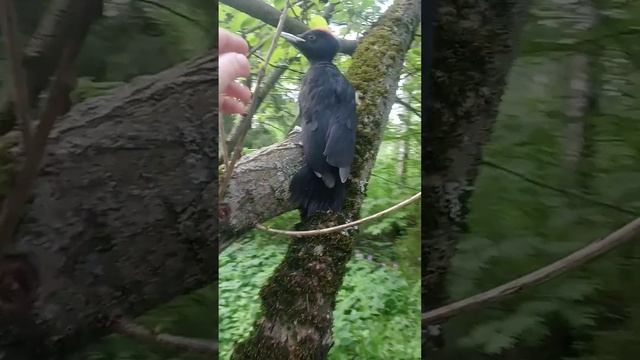 26 мая 2023 г. смотреть онлайн