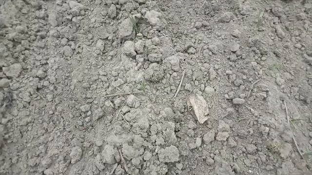 Україна.Березень 2022 .Огляд дачі сестри. смотреть онлайн