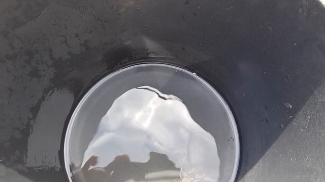 Как Мы Ловим Канавную Креветку в Дагестане?Рыбалка в Дагестане? смотреть онлайн