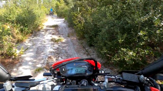 Honda CRF250L and Yamaha WR250R Nov 7th Even More Sand Riding смотреть онлайн