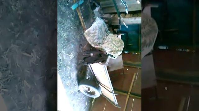 Самодельный мотоблок.!!!! смотреть онлайн