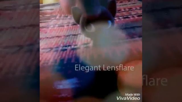 Моя неполная коллекция свит бокс котят 3 смотреть онлайн