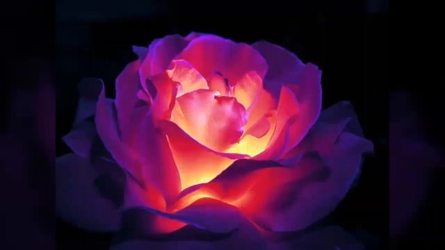 Жаны ыр Айгерим Расул кызы Лейламын лейла смотреть онлайн