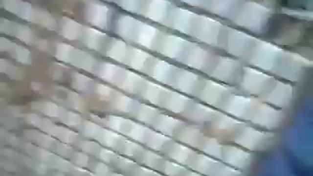На нас кто-то напал.... смотреть онлайн