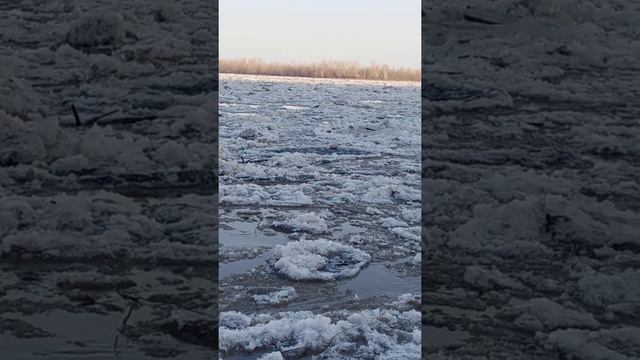 Ледоход Барнаул 2021 смотреть онлайн