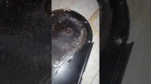 тофалар 500, снятие защитного кожуха цепи и что с цепью спустя 3 сезона. ?