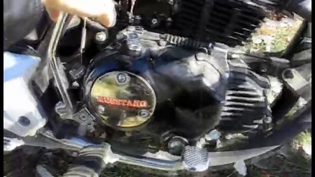 Musstang Mt200-7 V1
