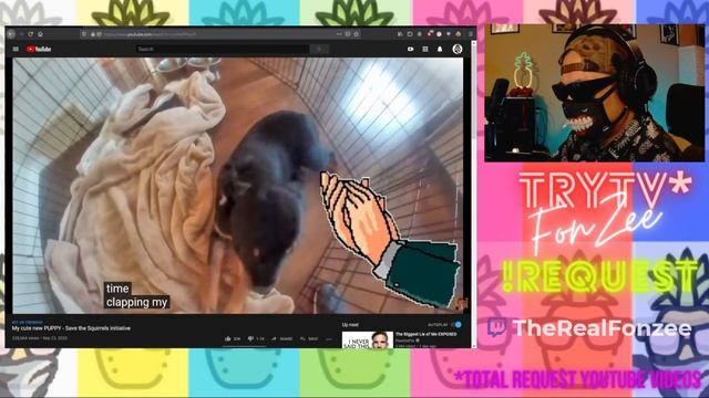 fonzee first REACT iDubbbzTV2 My cute new PUPPY - Save the Squirrels initiative смотреть онлайн