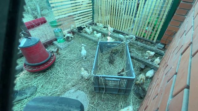 пробуждение после ночевки в коробке смотреть онлайн