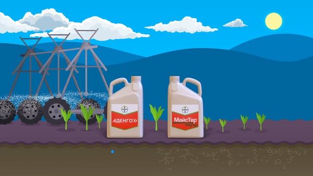 Защита кукурузы от сорняков. Эти гербициды бережны – к культуре, беспощадны – к сорнякам. смотреть онлайн