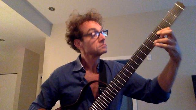 "Dodo's Art Tour" (rough) - Elliot Freedman (baritone nylon-string guitar) 20200802 смотреть онлайн