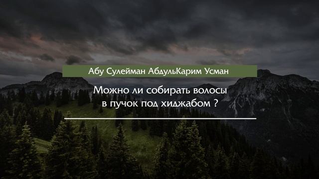 Можно ли собирать волосы в пучок под хиджабом? - Абу Сулейман АбдульКарим Усман смотреть онлайн
