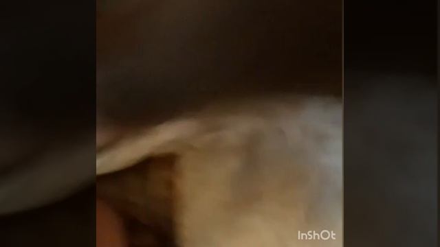 How to Roll a game leaf or fronto. MUST WATCH!! NEW TECHNIQUE! смотреть онлайн