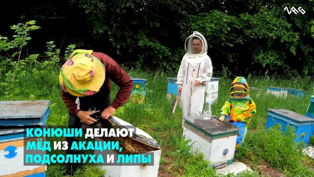 Пчеловоды из Восточной Украины смотреть онлайн