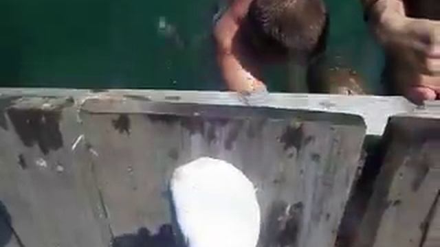 going loco at cocoloco part 3 смотреть онлайн