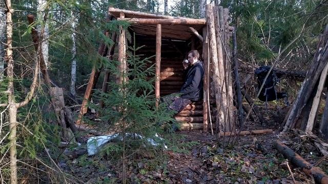 Стройка лачуги в лесу #13. Сделал все стены. Снова встретил лосей. Лесной бушкрафт смотреть онлайн