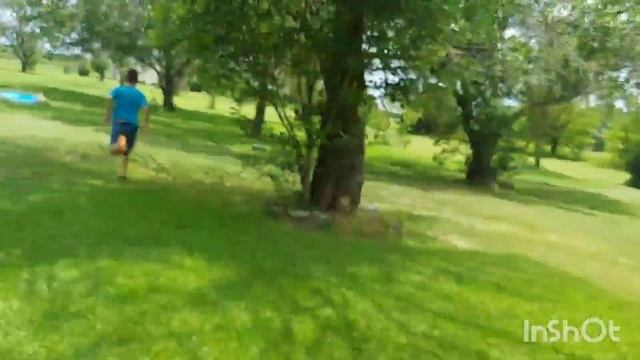 Cops And Robbers [part 2] Illegal Strawberry Farm