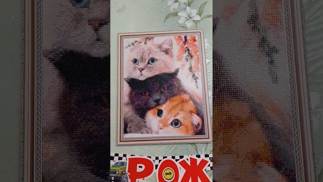 мои работы @Russia-345 @user-sb5rg5vm9u смотреть онлайн