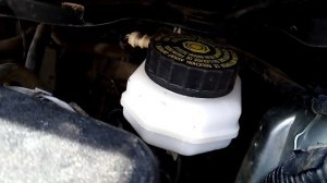 Куда заливать технические жидкости в автомобилях Тойота Аурис и Королла