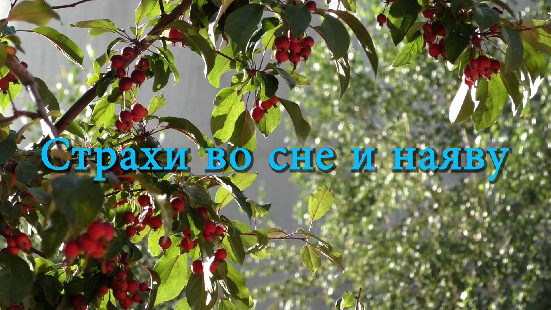 Страхи во сне и наяву (2024) смотреть онлайн