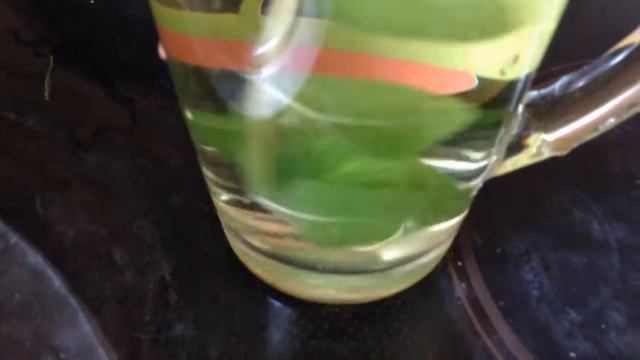 Котовник. Чай с котовником. Травяной полезный чай с котовником.