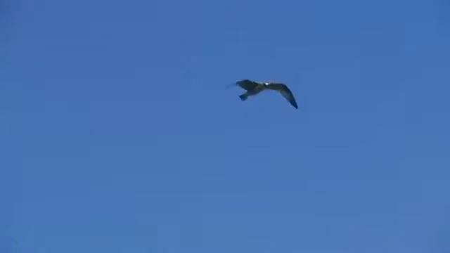 Дагестан ролик 3 смотреть онлайн