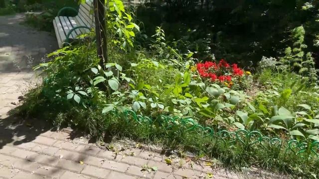 ПЕРВЫЙ раз к косметологу/ УЕХАЛИ НА ДАЧУ/ ТУСОВКА СОБИРАЕТСЯ смотреть онлайн