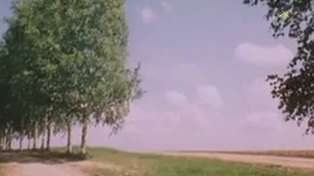 Эмиль Горовец - Белая берёза смотреть онлайн