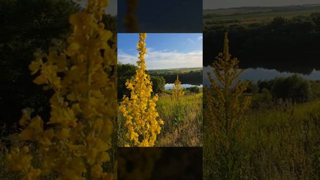 Бехово р.Ока смотреть онлайн