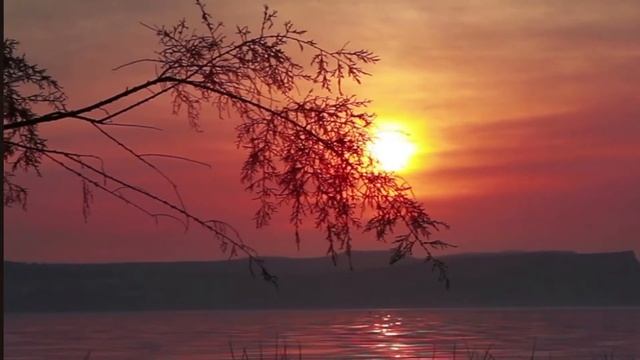 FULL MOON ORACLE READING ✨?✨ смотреть онлайн