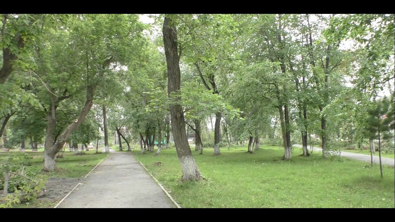г.Ачинск. Троицкий парк. Здесь будут расти дубы, туя 27.07.22г. Автор видео Елена Цыганова смотреть онлайн