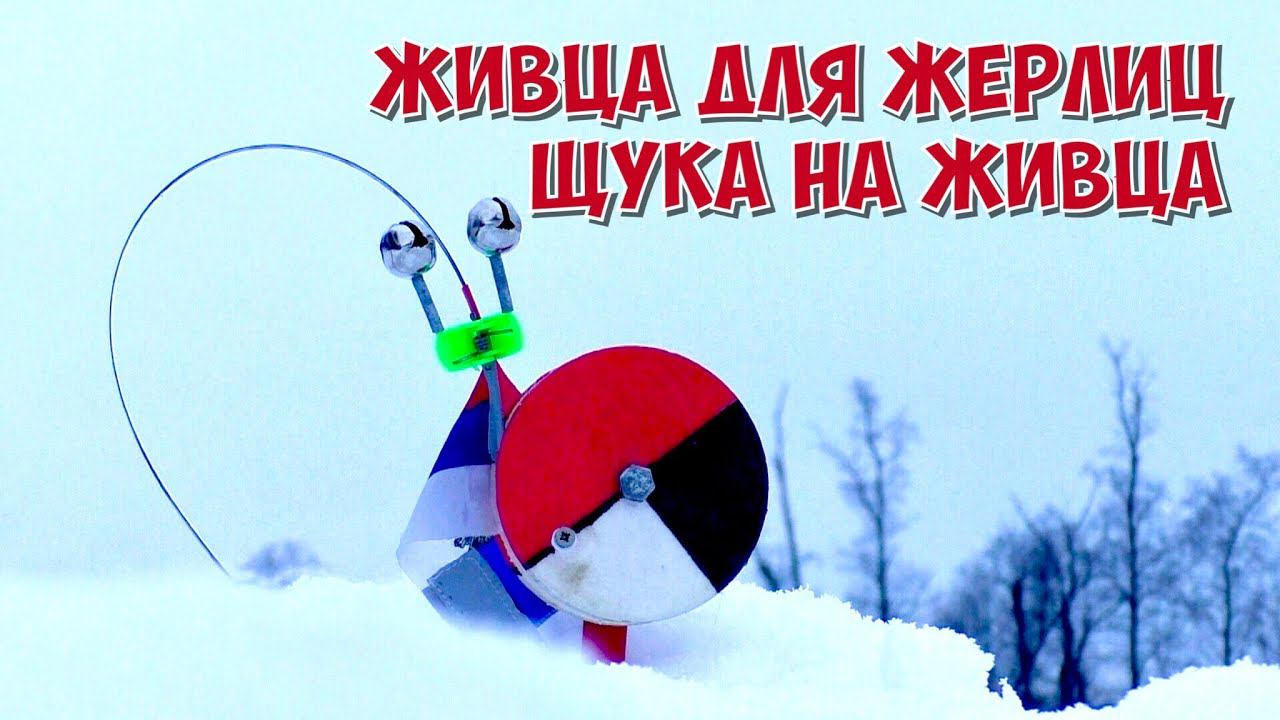 Ловим живца для жерлиц и щуку на живца.