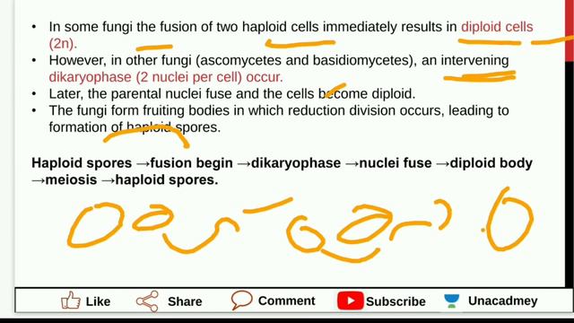 Kingdom Fungi | NEET/AIIMS/JIPMER | Class 11th | Eduracy смотреть онлайн