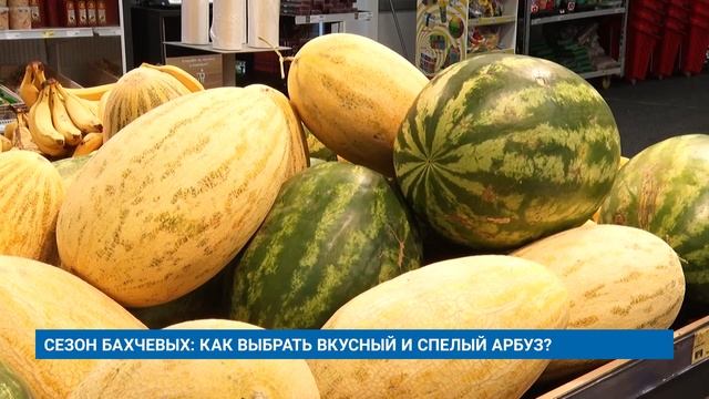 СЕЗОН БАХЧЕВЫХ: КАК ВЫБРАТЬ ВКУСНЫЙ И СПЕЛЫЙ АРБУЗ? смотреть онлайн