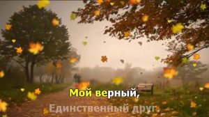 Осенние листья