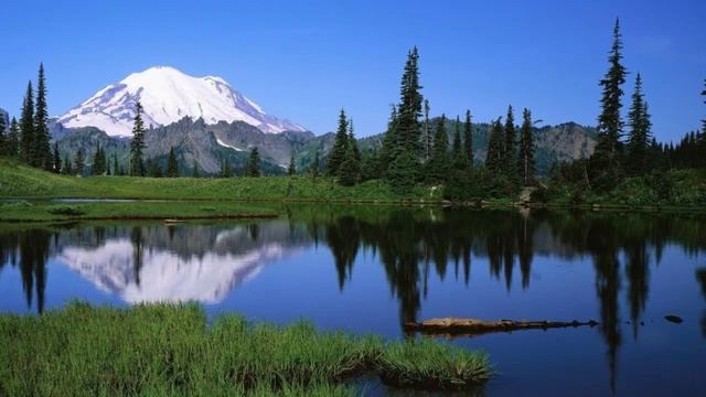 УЗБЕКИСТОНДА КУТИЛАЁТГАН 1 ХАФТАЛИК ОБ-ХАВО МАЛУМОТИ. смотреть онлайн