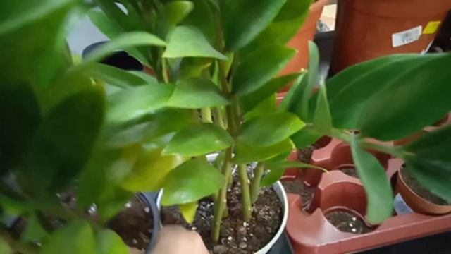 посещение магазина Юнифлер часть 1 смотреть онлайн