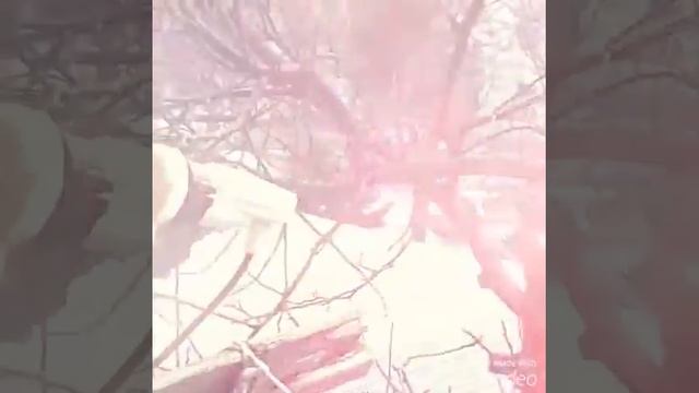 Город узген я приехала смотреть онлайн