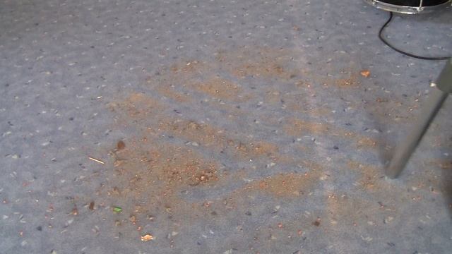 Härtetest Staubsauger Cleanfix S10 Plus - Torture test смотреть онлайн