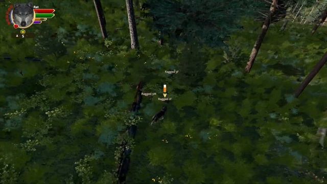 A Disastrous Twist of Destiny! | WolfQuest: The Fate Trials #4 смотреть онлайн